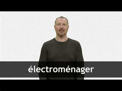 collins english french dictionary|electromeganer translation in English .